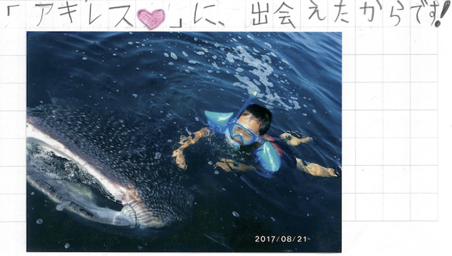 ジンベエザメと一緒に泳ぐ少年の写真